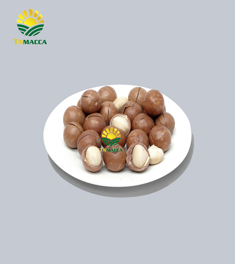 11.gia-hat-macca-4-cach-chon-san-pham-hat-macca-chat-luong-gia-tot