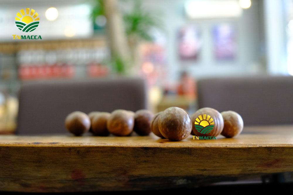 12.Cách SỬ DỤNG HẠT MACCA và ăn bao nhiêu , khi nào là đủ để GIẢM CÂN