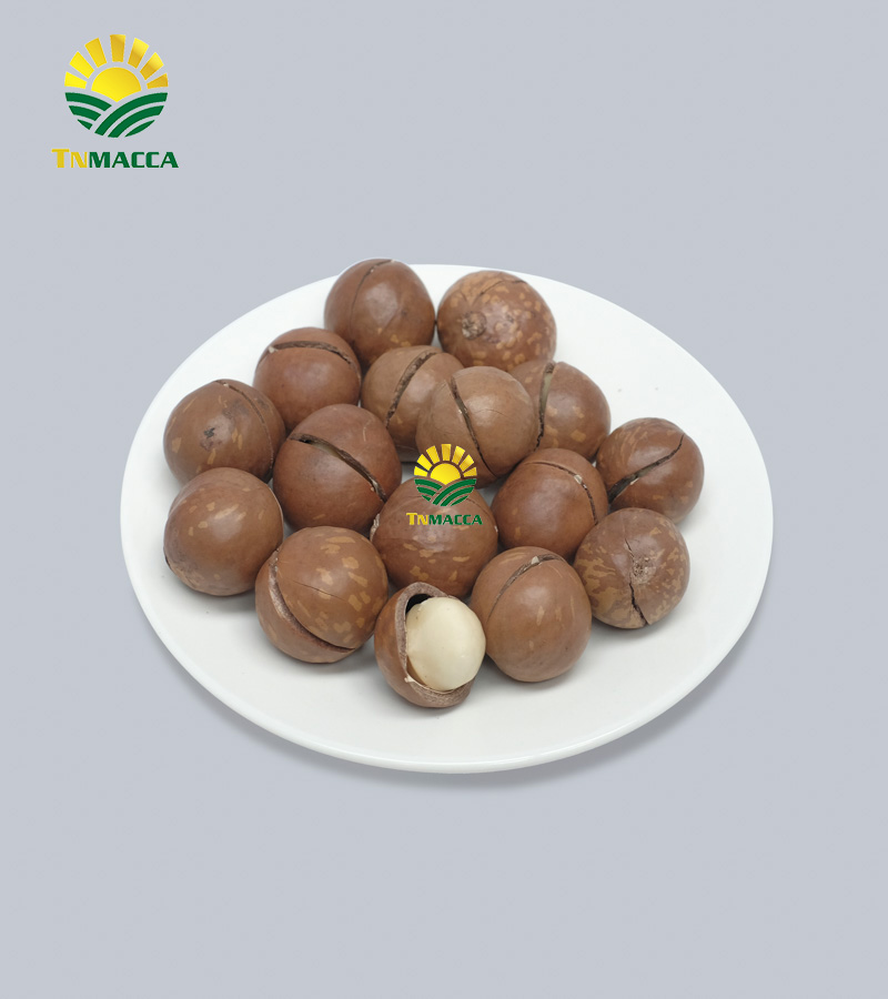 12.hat-macadamia-uc-nu-hoang-la-gi-va-co-tac-dung-gi-gia-bao-nhieu