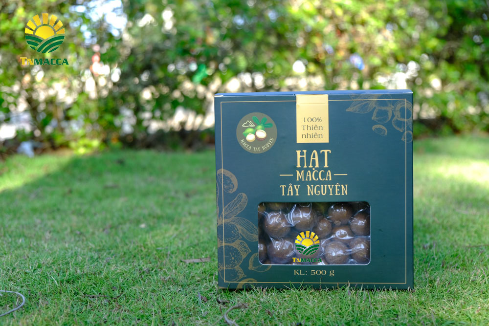 14.mua-hat-macca-o-dau-uy-tin-tai-ha-noi-voi-gia-si-va-chat-luong