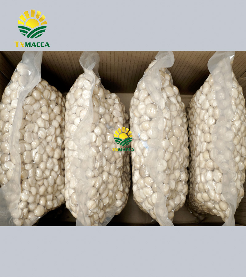 15.hat-macca-say-kho-da-tach-nut-vo-dac-lac-hay-da-lat-gia-re-hon