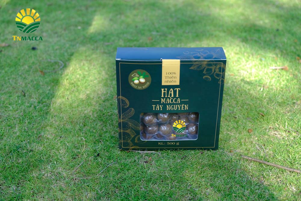 16.Cách SỬ DỤNG HẠT MACCA và ăn bao nhiêu , khi nào là đủ để GIẢM CÂN