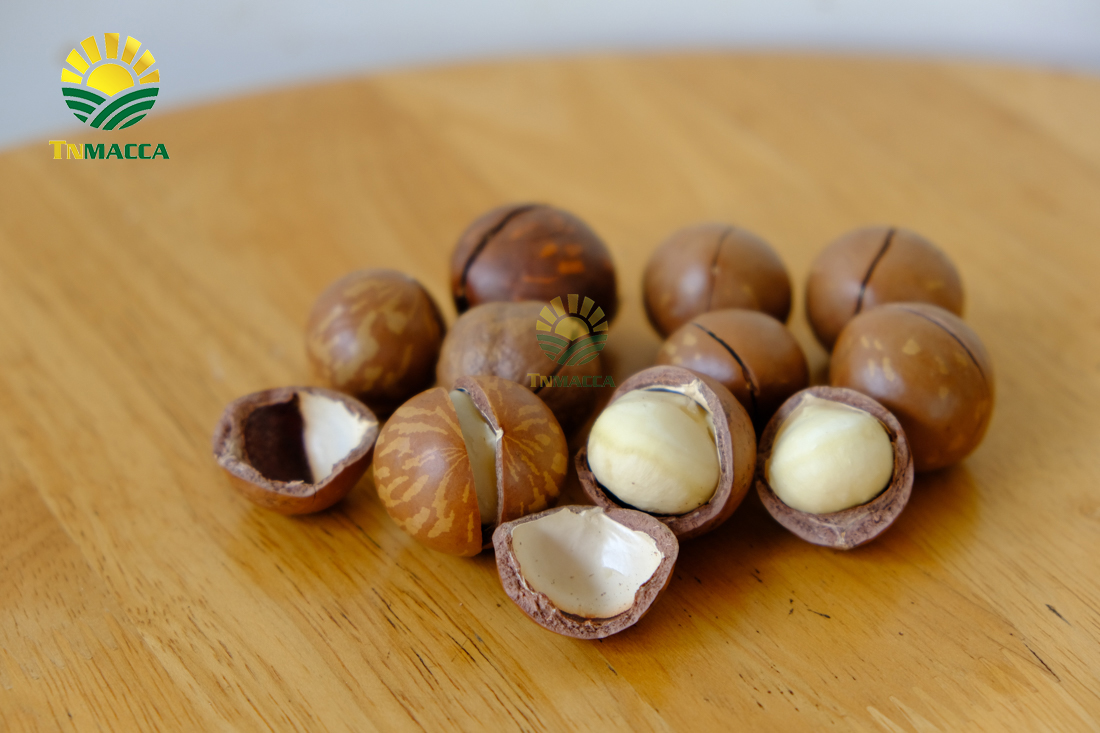 cach-rang-say-hat-macca-nguyen-vo-bang-chao-lo-nuong-va-lo-vi-song