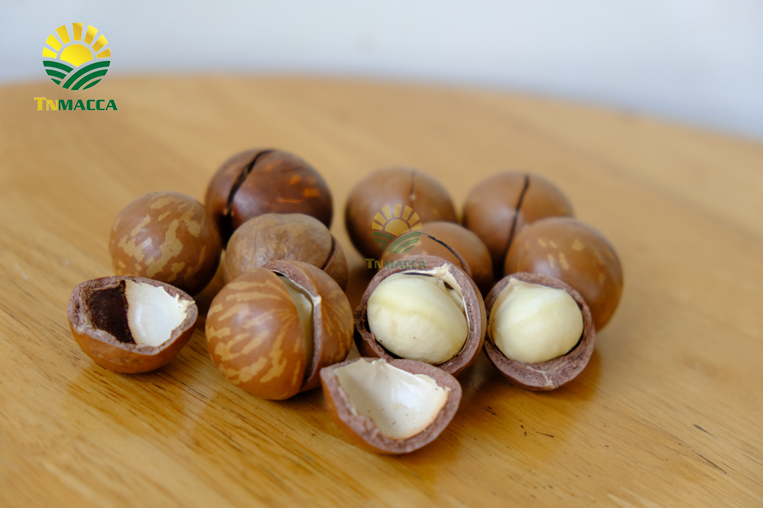 hat-macca-say-kho-da-tach-nut-vo-dac-lac-hay-da-lat-gia-re-hon-nhieu-lam