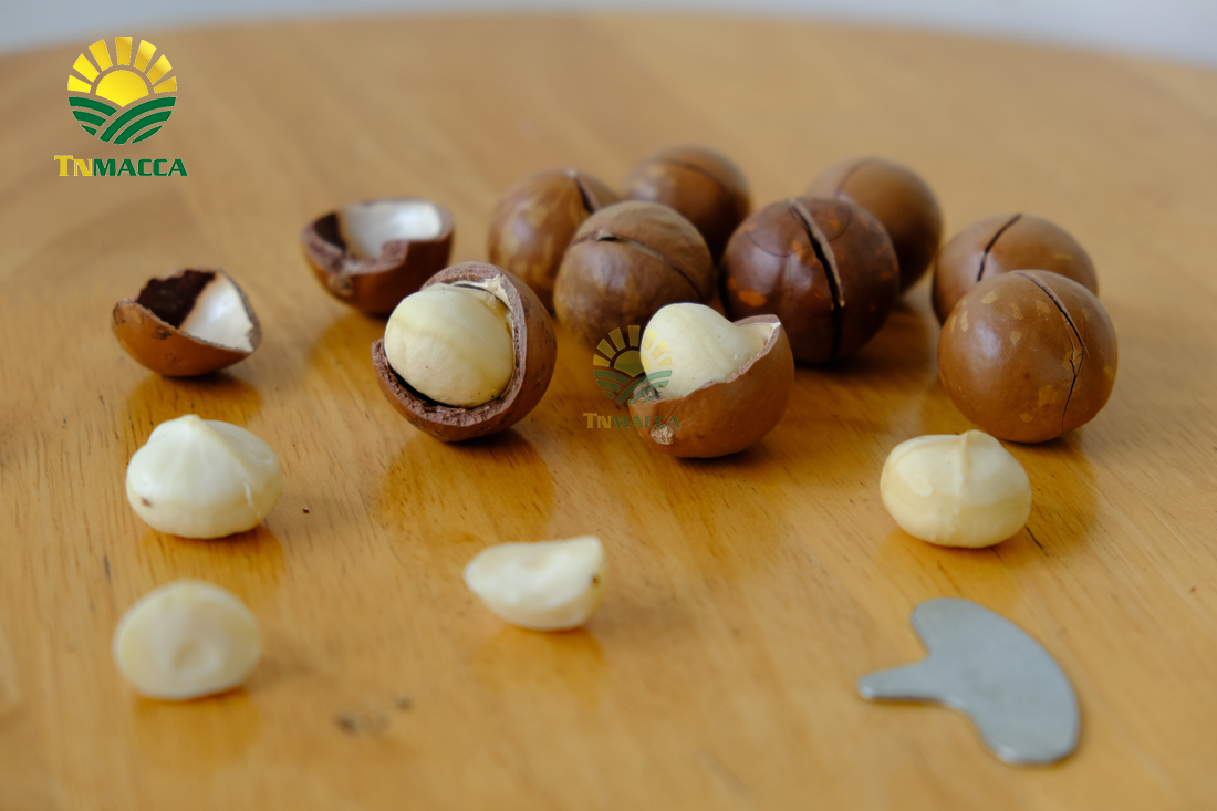 nen-an-bao-nhieu-hat-macca-moi-ngay