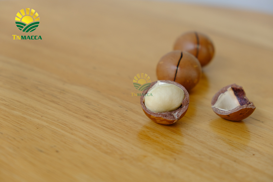 hat-macca-daklak-5-san-pham-hot-duoc-che-bien-tu-hat-macca-daklak-