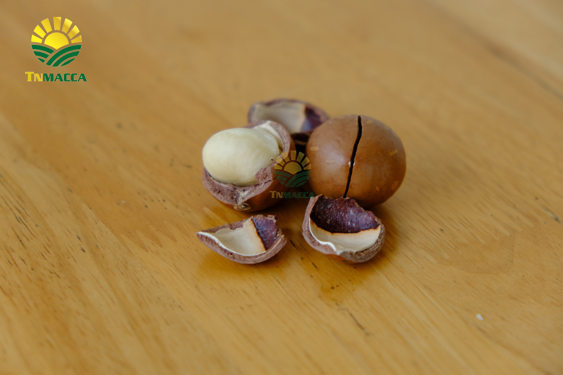 hat-macca-daklak-5-san-pham-hot-duoc-che-bien-tu-hat-macca-daklak-