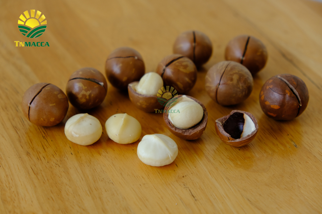 cach-su-dung-hat-macca-va-an-bao-nhieu-khi-nao-la-du-de-giam-can