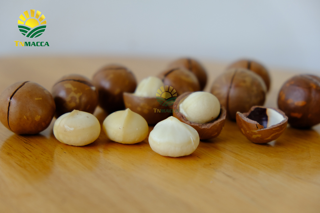 hat-macca-uc-tach-vo-gia-bao-nhieu-mua-hat-macca-haiwaii-o-dau