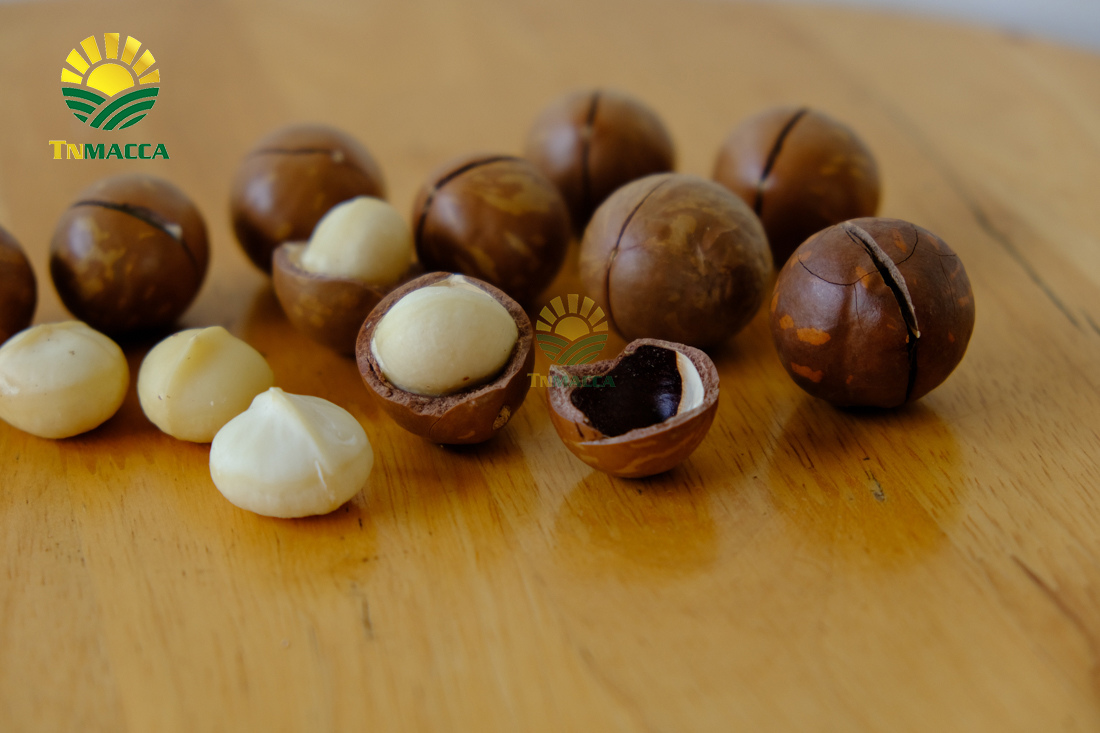 hat-macca-my-4-san-pham-chinh-duoc-che-bien-tu-hat-macca-my