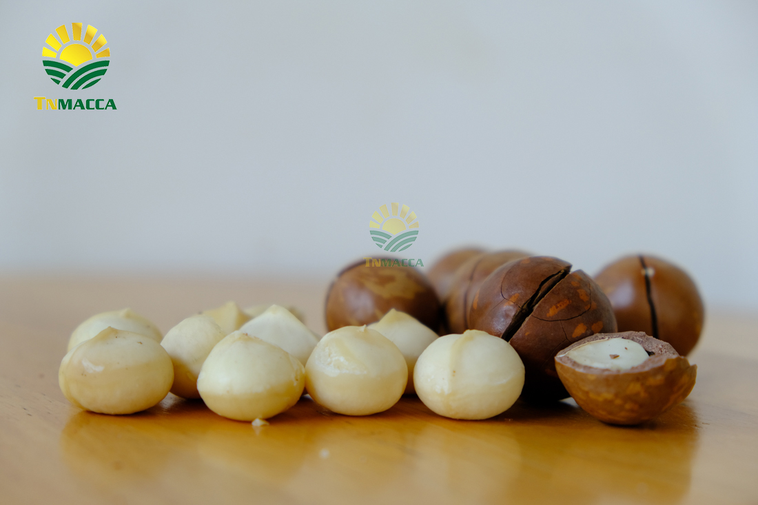 may-tach-hat-macca-la-gi-luu-y-chon-may-cat-xe-ranh-hat-macca--4298