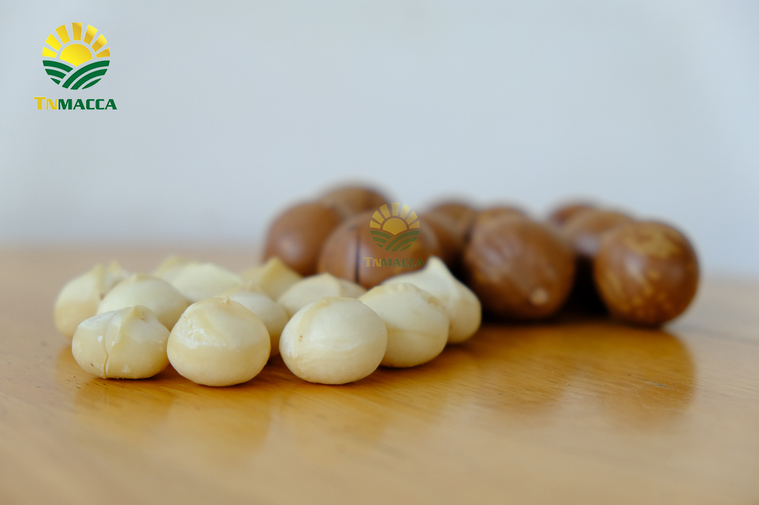 hat-macca-say-kho-da-tach-nut-vo-dac-lac-hay-da-lat-gia-re-hon-nhieu-lam