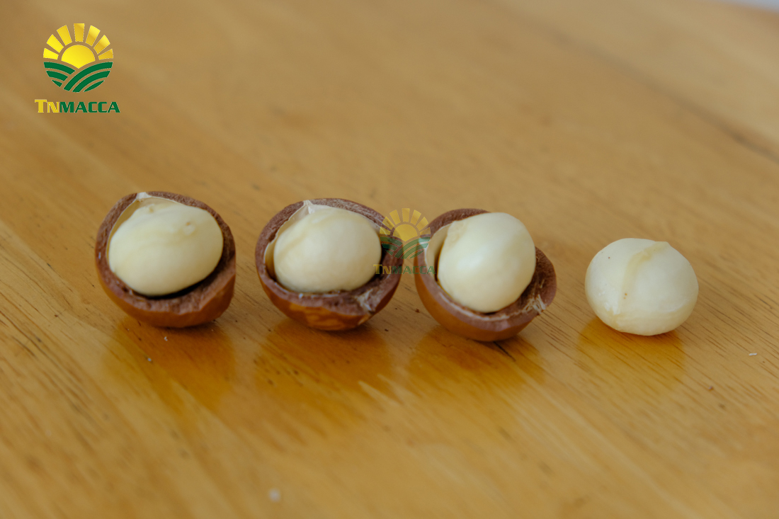 ban-hat-macca-6-kinh-nghiem-ban-macca-trong-nuoc-va-xuat-khau