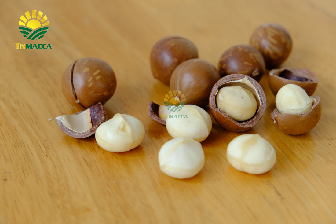 hat-macca-my-4-san-pham-chinh-duoc-che-bien-tu-hat-macca-my