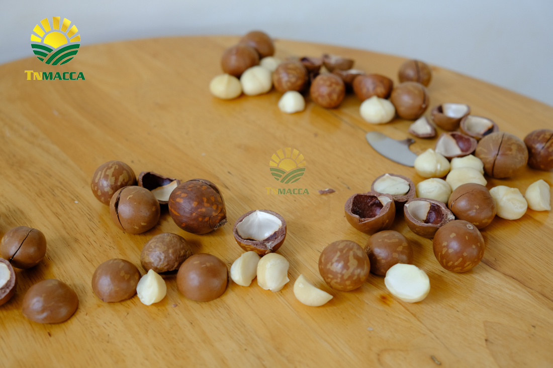 cach-su-dung-hat-macca-va-an-bao-nhieu-khi-nao-la-du-de-giam-can