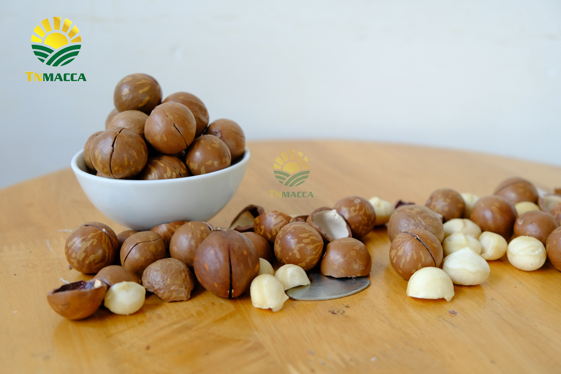 hat-macca-say-kho-da-tach-nut-vo-dac-lac-hay-da-lat-gia-re-hon-nhieu-lam