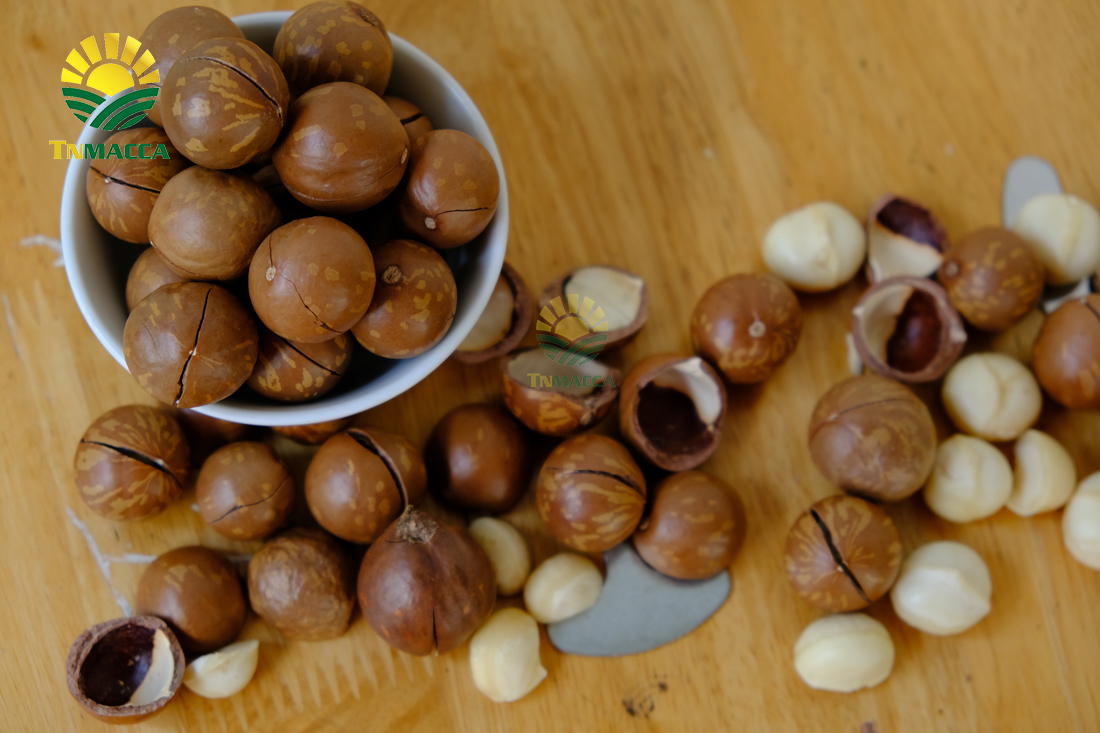 hat-macca-daklak-5-san-pham-hot-duoc-che-bien-tu-hat-macca-daklak-