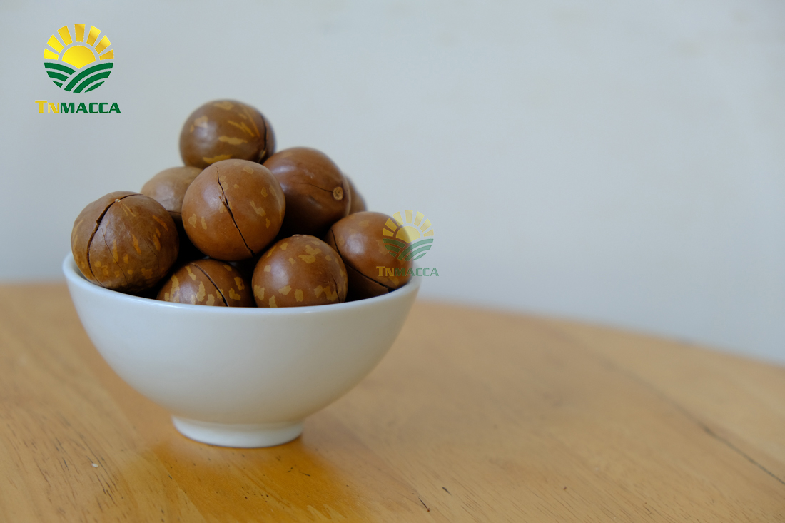 tac-dung-cua-hat-macca-4-tac-dung-chinh-cho-moi-lua-tuoi