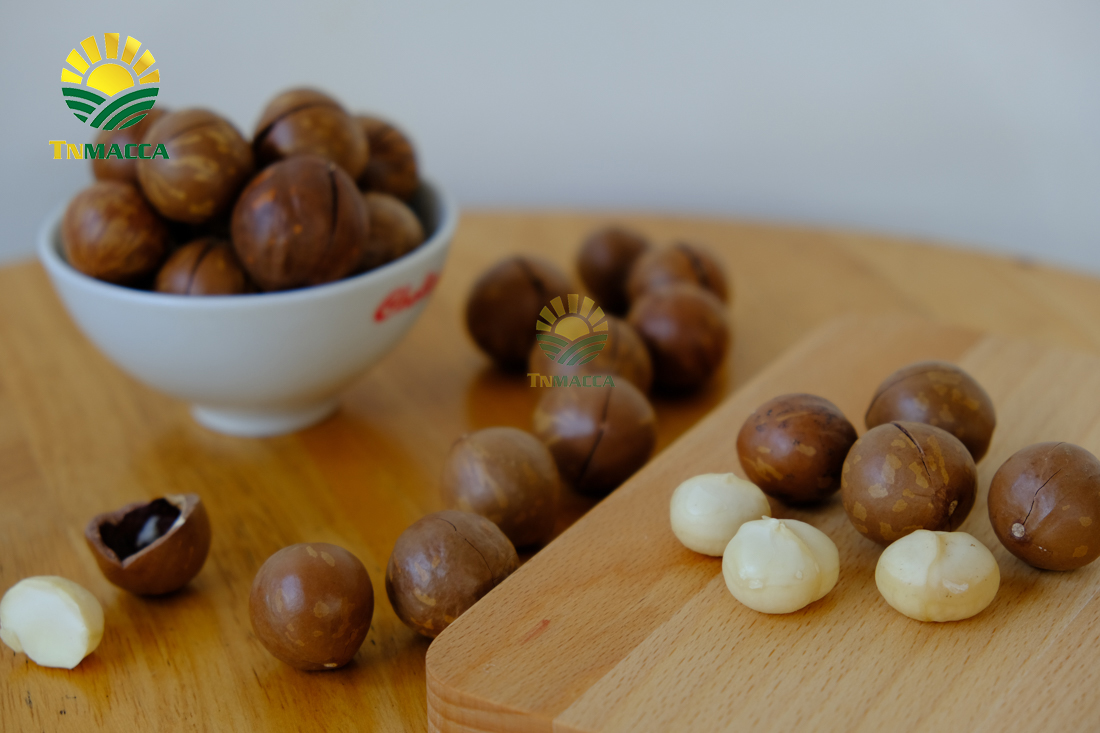 hat-macca-daklak-5-san-pham-hot-duoc-che-bien-tu-hat-macca-daklak-