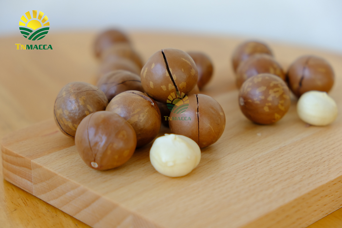 hat-macca-daklak-5-san-pham-hot-duoc-che-bien-tu-hat-macca-daklak-