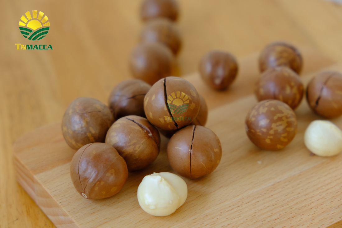 cach-rang-say-hat-macca-nguyen-vo-bang-chao-lo-nuong-va-lo-vi-song