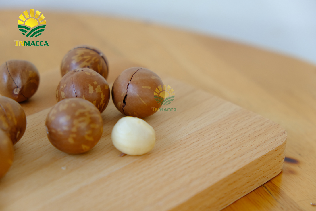 hat-macca-say-kho-da-tach-nut-vo-dac-lac-hay-da-lat-gia-re-hon-nhieu-lam