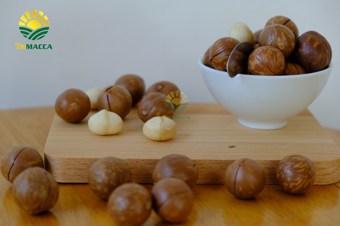 may-tach-hat-macca-la-gi-luu-y-chon-may-cat-xe-ranh-hat-macca--4298