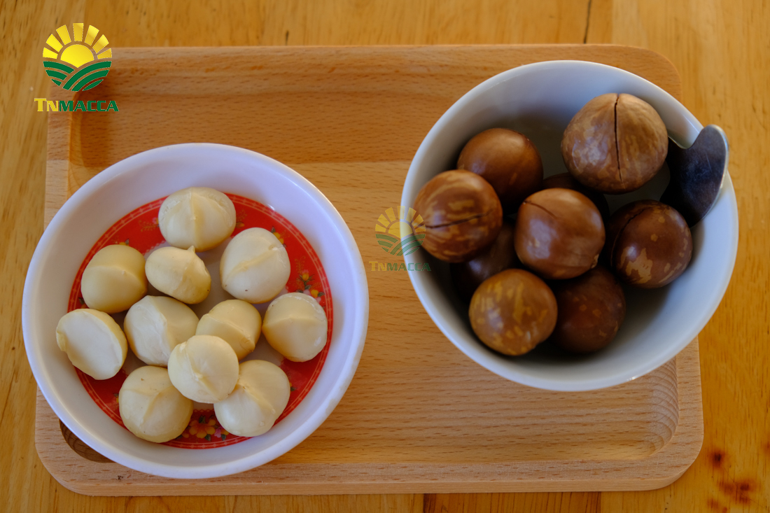 hat-macadamia-uc-nu-hoang-la-gi-va-co-tac-dung-gi-gia-bao-nhieu