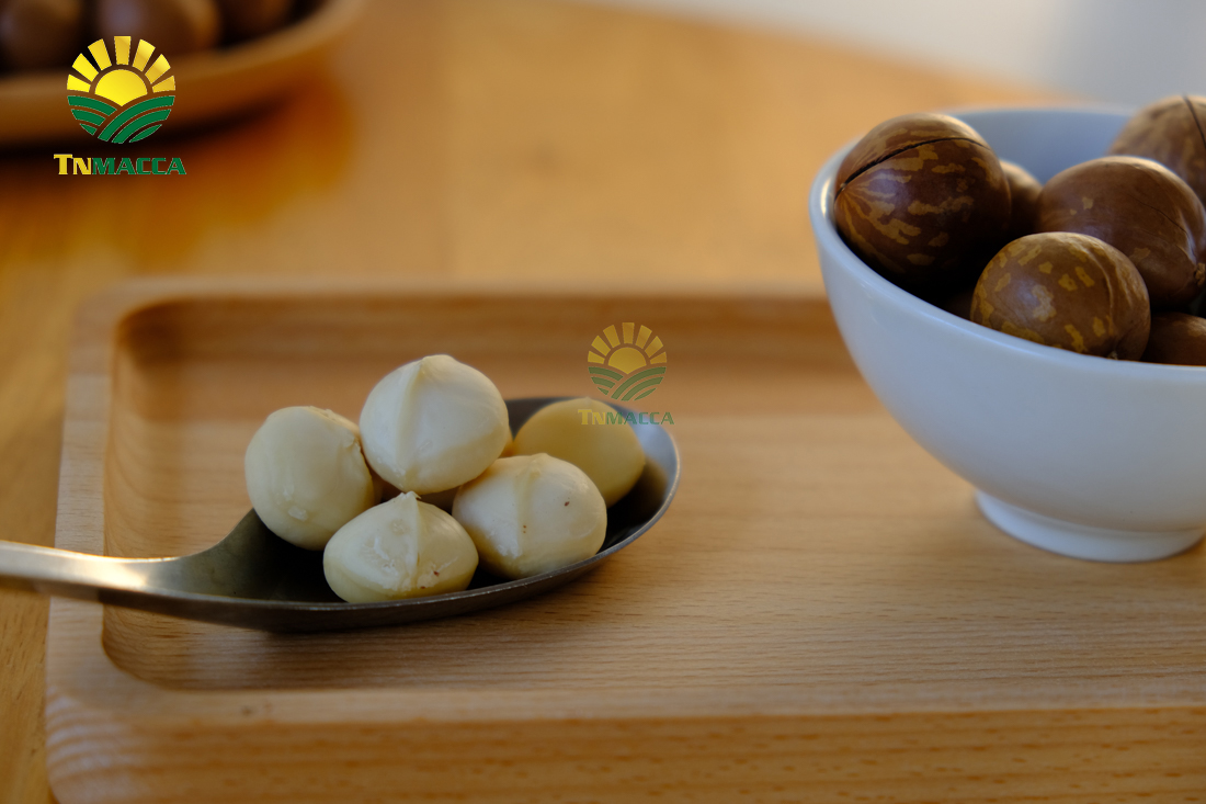 hat-macca-uc-dac-diem-uu-diem-va-han-che-cua-macca-uc-