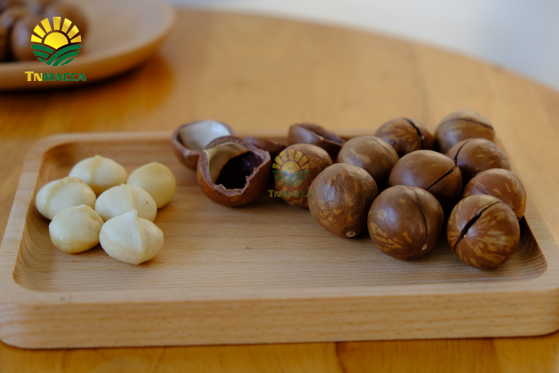 gia-hat-macca-4-cach-chon-san-pham-hat-macca-chat-luong-gia-tot