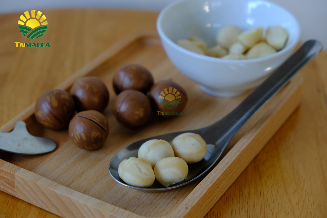 hat-macadamia-uc-nu-hoang-la-gi-va-co-tac-dung-gi-gia-bao-nhieu