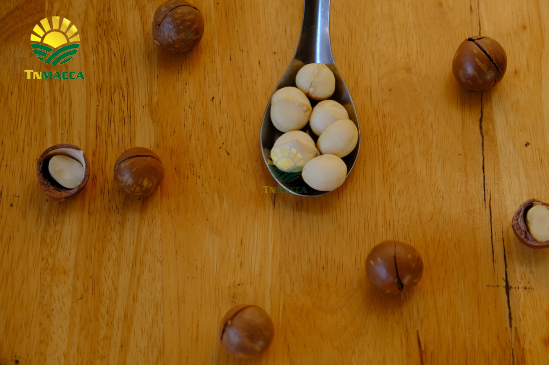 tac-dung-cua-hat-macca-4-tac-dung-chinh-cho-moi-lua-tuoi