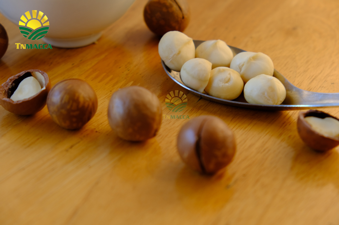 mua-hat-macca-o-dau-uy-tin-tai-ha-noi-voi-gia-si-va-chat-luong