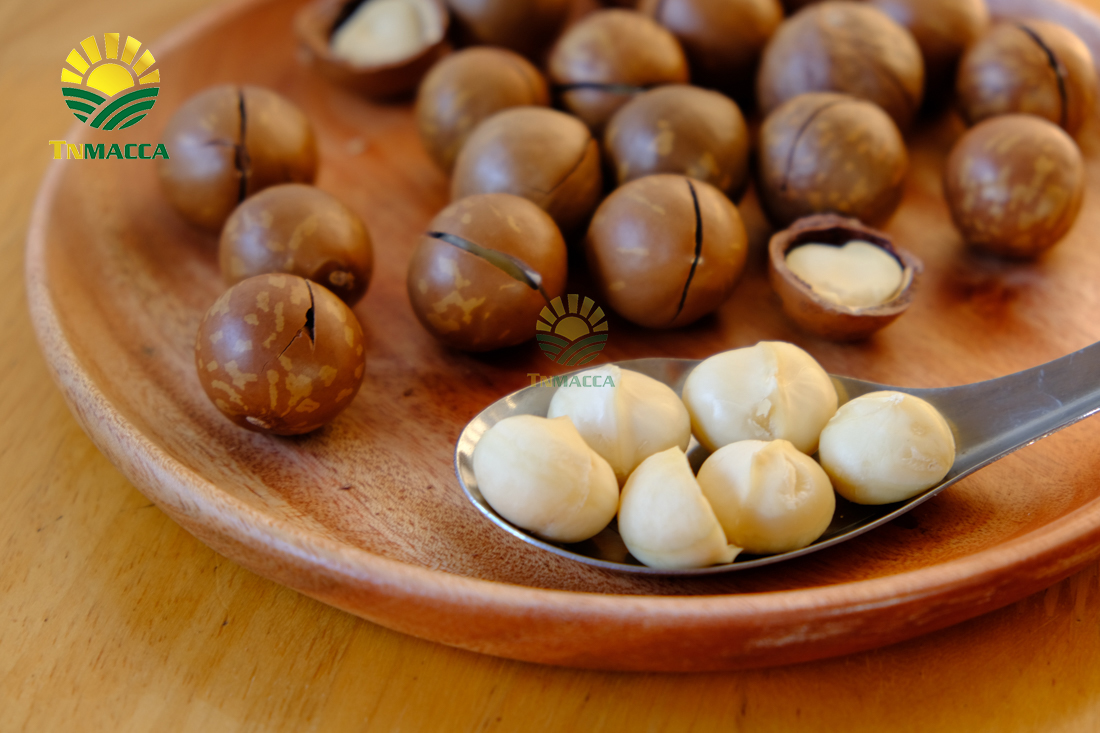 4-tac-dung-cua-hat-macca-voi-ba-bau-cach-su-dung-an-de-tot-nhat