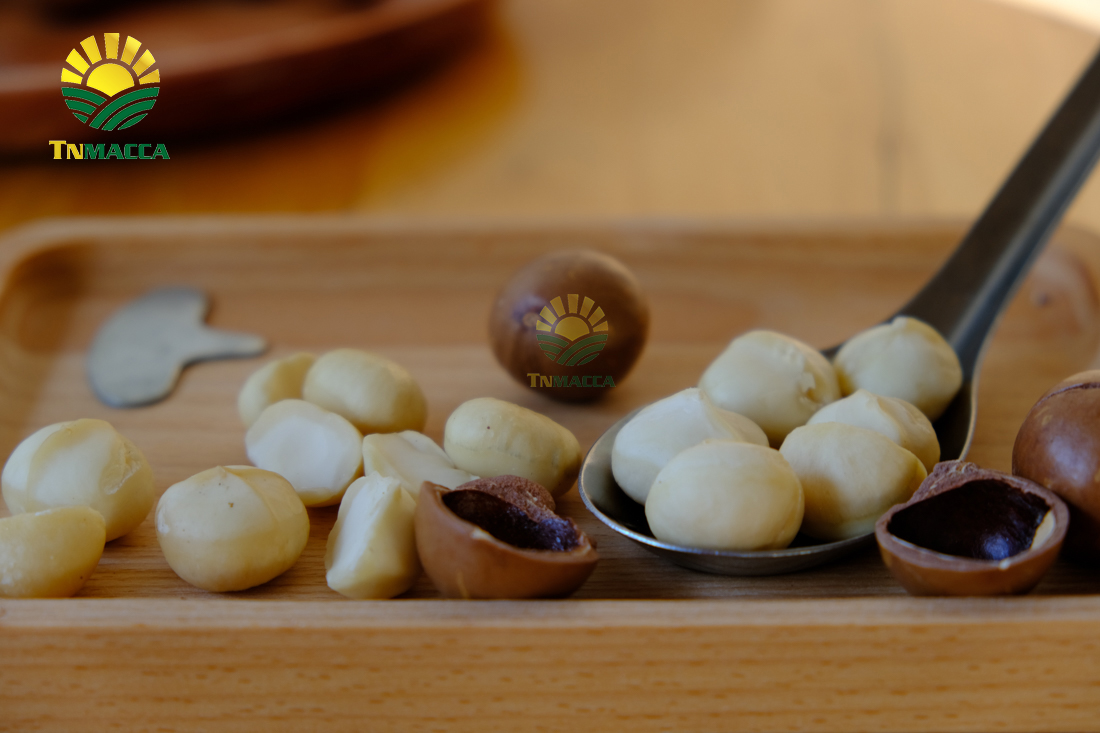 hat-macadamia-uc-nu-hoang-la-gi-va-co-tac-dung-gi-gia-bao-nhieu