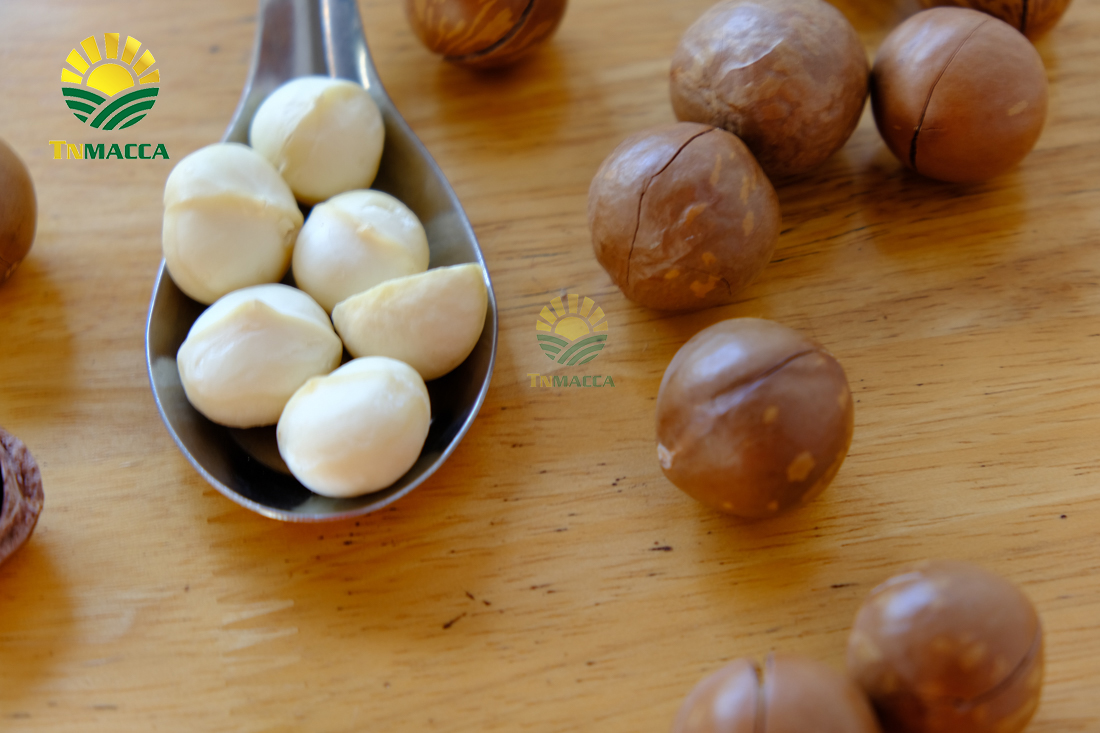 cach-su-dung-hat-macca-va-an-bao-nhieu-khi-nao-la-du-de-giam-can