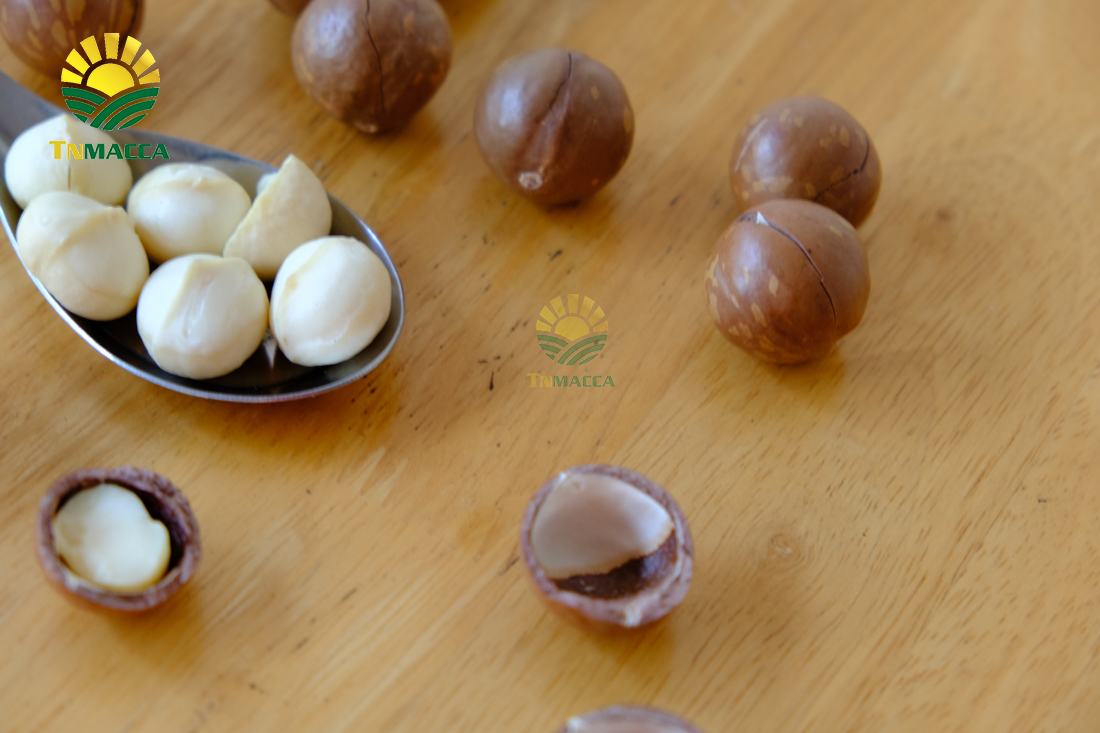 hat-macca-lam-dong-3-sai-lam-khi-mua-hat-macca-tai-lam-dong