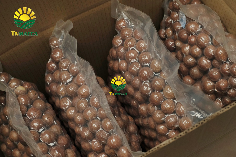 3.ban-hat-macca-6-kinh-nghiem-ban-macca-trong-nuoc-va-xuat-khau