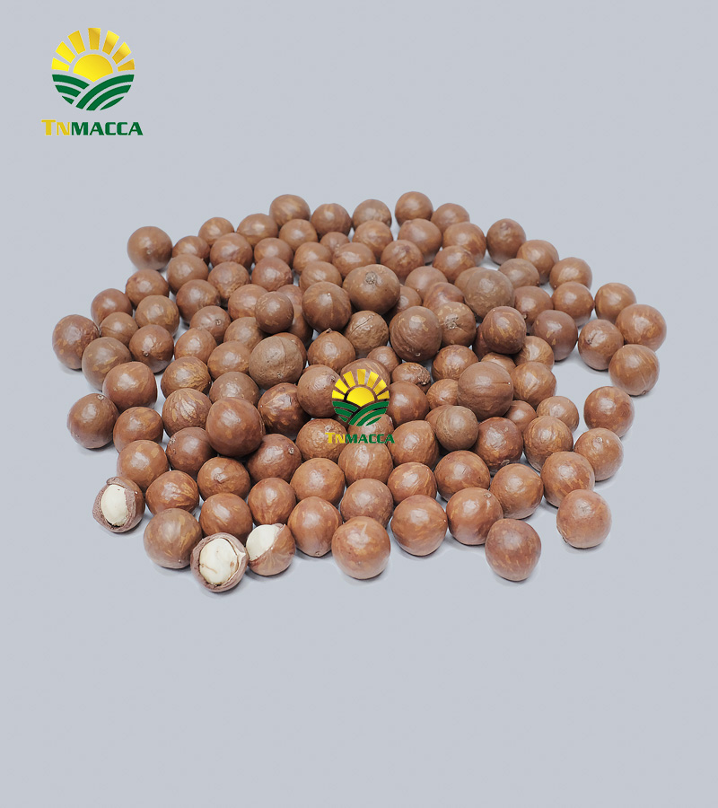 cach-lam-sua-hat-macca-tuoi-hanh-nhan-bang-may-tac-dung-sua-macca5